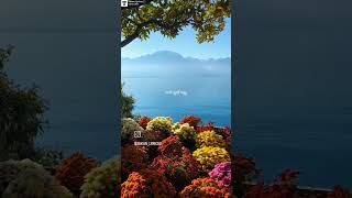 Bangali lyrics song ❣️