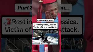 #jessica #justic #attack #dolphin Jesicca Orca attack