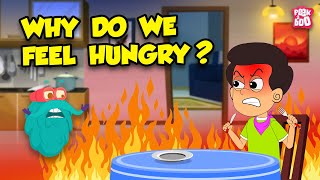 Why Do We Feel Hungry? | What Happens in Your Body When You're Hungry? | Ghrelin Hormone | Dr Binocs