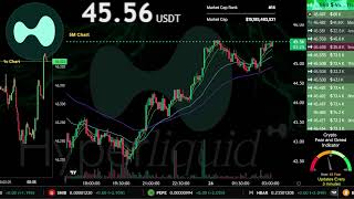 HYPE | Live Stream 24/7 | OFFICIAL HYPERLIQUID | HYPE USDT | Trading Signals Chart