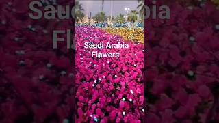 Saudi Arabia/Flowers//short/subscribe//