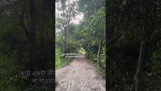 Ojanai song lofi #pirankhan #ojanai #love #shortvideo #nature