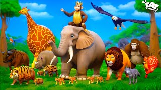 King Monkey's Magical Reign: Wild Animals Turn into Servants | Funny Animal Kingdom!
