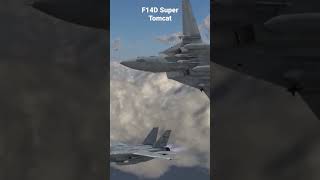 F14D Super Tomcat: The Legendary Fighter
