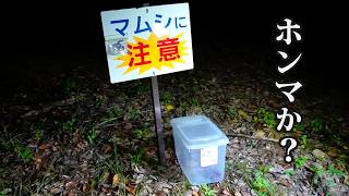 この看板の周りを調べたらとんでもなかった