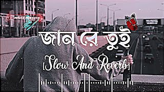 Jaan Re Tui-Lofi | জান রে তুই | (Slowed+Reverb) Bangla Song 2023