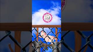 Ya Rab e Mustafa To Mujy Hajj Py Bula #vfxshorts #shortvideo #unfrezzmyaccount