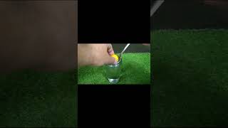 Easy Science Experiment to do at home, science experiments #shorts #ytshorts