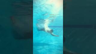 Transition alert 🚨