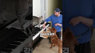 음악 천재 동물들의 질투 드라마!