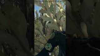 1 VS 3
