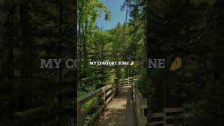 what's your comfort zone 🍂🍃#relatable #comfortzone #peaceful #vibes #tranquilitytime