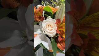Petals of perfection #flowers #rose #flowerpower #flowers