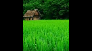 💞💜Kothai Tomar Bosot Bari Kothai Tomar Ghor,কোথায় তোমার বসতবাড়ি কোথায় তোমার ঘর, Islamic Tv Bangla💜💞