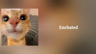 [Playlist Music] Love Life