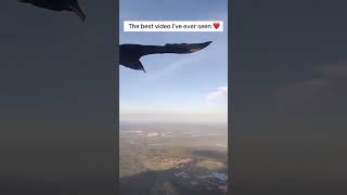 The best video I’ve ever seen ❤️