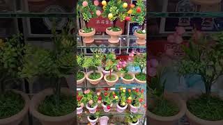 Wholesale Fancy Stationery & Gift shop | Stationery | Toy Shop | Gift items