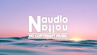 Flying High - FREDJI (Free to Use Music for Intros) | (No Copyright Background Music for Vlogs)