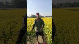 #rakibmusabbir #cdchoicesong #মন #shilpibiswas #banglamusicvideo #monpinjira #singer_dj_altab_khan
