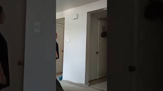 My bird flying to the bathroom#shorts