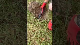 What UnEarthed? #metaldetecting