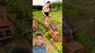 जमीन को फाड़ देने वाला पावर टिलर।  power tiller tractor, power weeder machine, #viralvideo #short