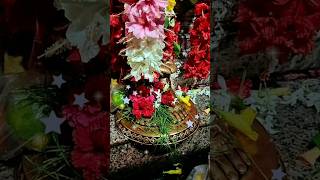 ভরসা শ্রীপদ সঙ্গের সম্পদ বিপদে তারিনী করো গো নিস্তার🌺🌺🙏#viral #shortsvideo #2025