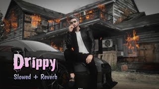 Drippy 🫡🧌 Slowed and reverb #drippy #slowedandreverb #song #music #vibe #panjabisong #basebuilding