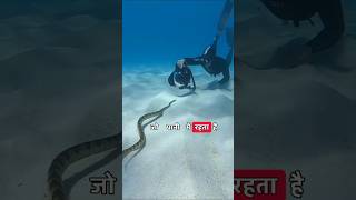 दुनिया का सबसे जहरीला सांप। Dangerous snakes। Snake shorts । #science #facts #interestingfacts