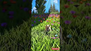 jinda khargos kha gaya #shorts