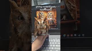 Owl core. #funny #owl #owlhouse