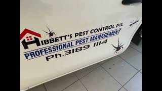 Toyota Hilux detail, paint correction and HVAC sanitation