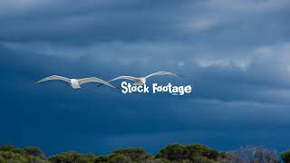 Sound Bowl Music | Relaxation Music | Calm Music | stress Relief Music |