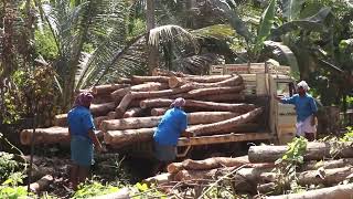 Nellikuzhi - The land of furnitures