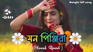 মন পিঞ্জিরায়  Mon Pinjira | ( Slowed+Reverb ) bangla lofi song
