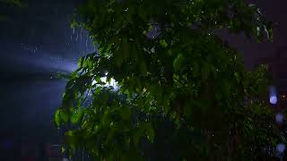 Heavy Rain & Thunderstorm Sounds | Perfect for Study, Work, and Mindful Relaxation