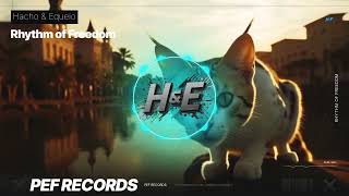 Rhythm of Freedom  #edm #electrosound  #electronicmusic   #kpop #edmmusic2025 #musicvide