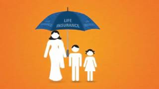 Video on Human Life Value