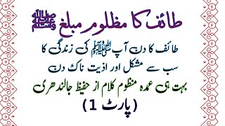 طائف کا مظلوم مبلغ ﷺ