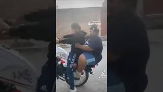 O  MY GOD🤣🤣🤣#shorts  #epicfail #trendingshorts #catreact  #viralshorts @laughing hub