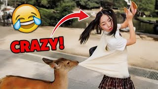 SHOCKING Funny Moments You'll Only Find in Japan