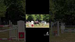 Berrima hunter trials (I FELL OFF)