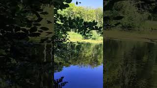 Green beauty in nature #naturelover #manike #ohmygod