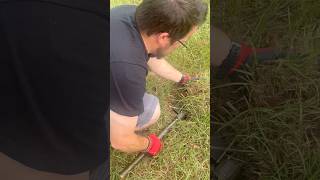 Crunch, dig, pull tab! #metaldetecting