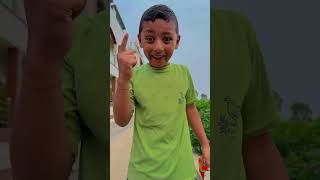 Pushpa Pushpa 😳🤪 #shorts #trendingshorts #viralvideo #thebnbrothers