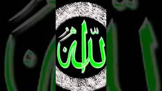 #beautiful #love #nature #arabic #viral #shorts #viralshorts #allhindisongs