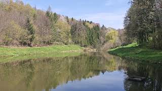 A Beautiful Day at the Pond