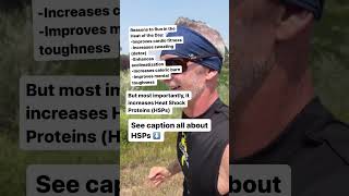 Exercise in the heat has some unique benefits! #shorts #heatshockproteins