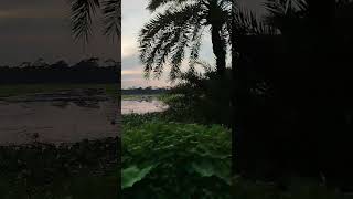 দুনিয়াটা আমার কাছে #duet #love #trending #unfrez #hitsong #viralvideo #automobile #popularsong