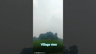village view is gold 👍♥️ #viralvideo #villagevideo #villageview